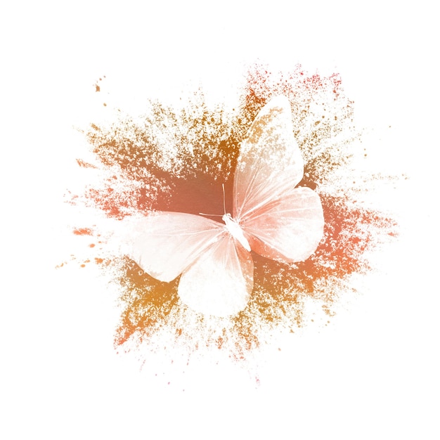 Spruzzi di vernice a colori con farfalla isolata su sfondo bianco. stampa per il designer