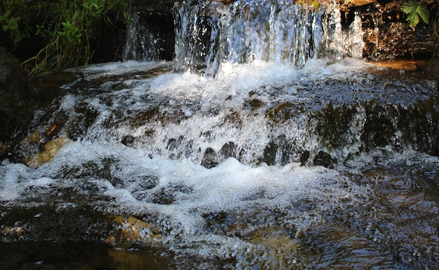 Spruzzi e gocce d'acqua in una piccola cascata su un ruscello di montagna nella foresta