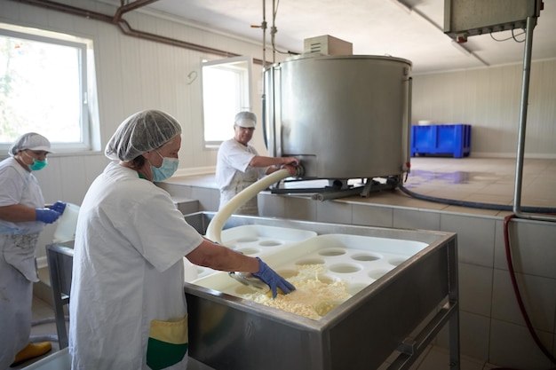 Squadra di lavoratori che preparano il latte crudo per la produzione di formaggio in una fabbrica locale