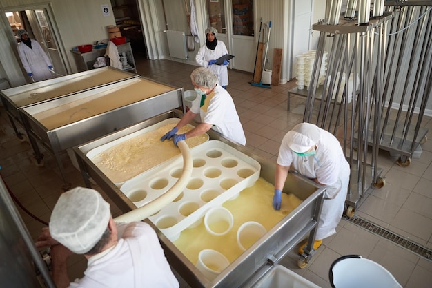 Squadra di lavoratori che preparano il latte crudo per la produzione di formaggio in una fabbrica locale