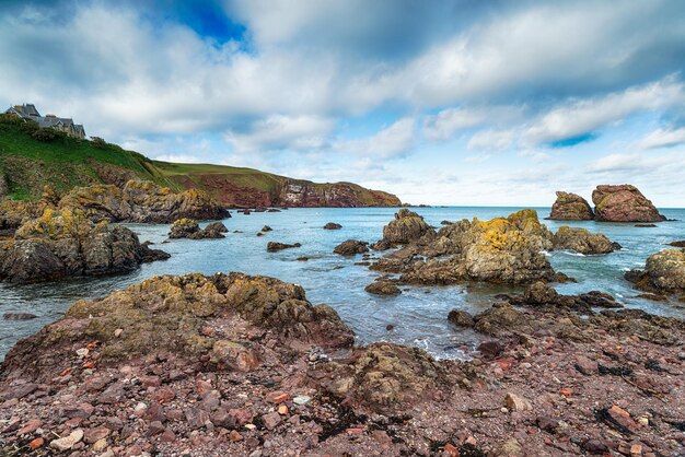 St Abbs in Scozia