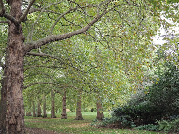 St James's Park a Londra