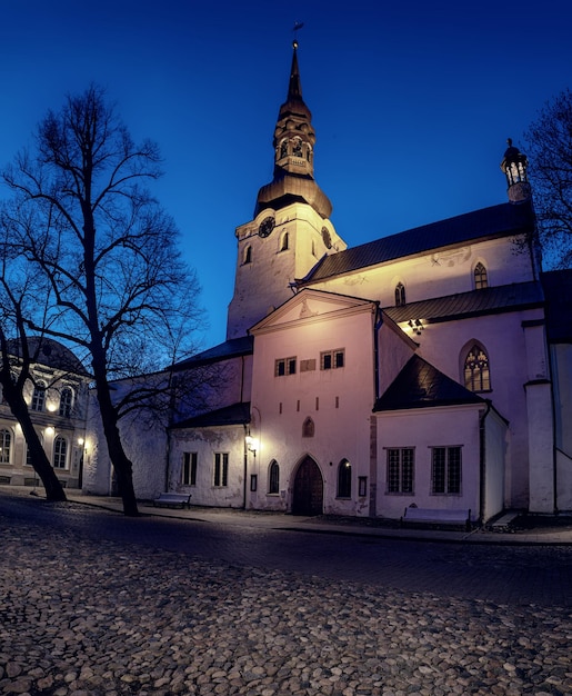 St. Mary's, Dome, Cathedral è una chiesa situata sulla collina di Toompea a Tallinn, in Estonia. Vista notturna, sfondo di viaggio.