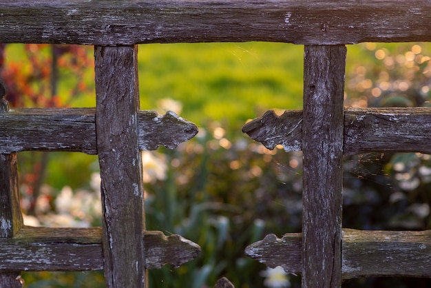 Staccionata in legno che racchiude un letto di fiori al tramonto