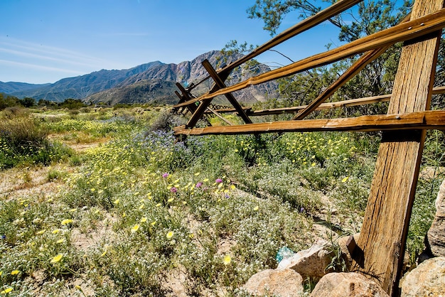 Staccionata in legno con fiori di campo e montagne a Borrego Springs, California