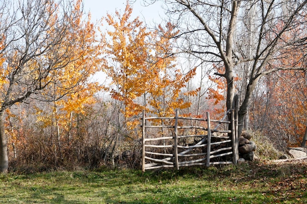 Staccionata in legno e foglie autunnali