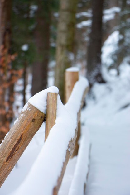 Staccionata in legno nei cerchi di neve ricoperti da uno spesso strato di neve Messa a fuoco selettiva