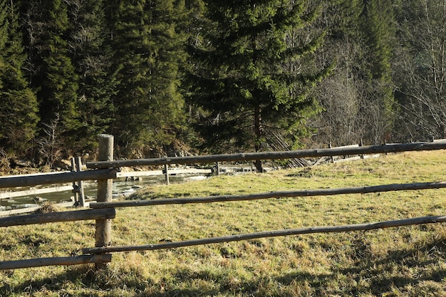 Staccionata in legno nelle montagne dei Carpazi in una giornata di sole