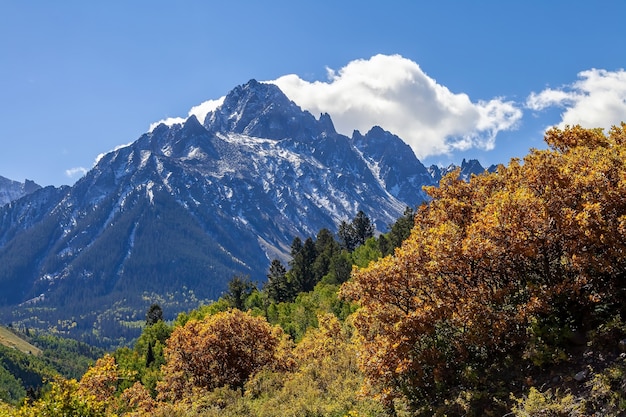 Stagione autunnale in campagna in Colorado, Stati Uniti