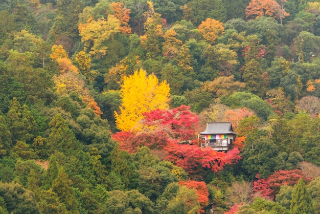 Stagione autunnale in Giappone