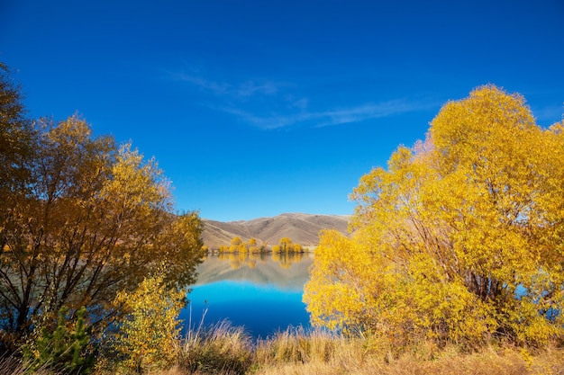 Stagione autunnale nelle montagne della Nuova Zelanda