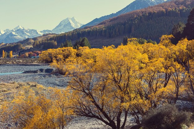 Stagione autunnale nelle montagne della Nuova Zelanda