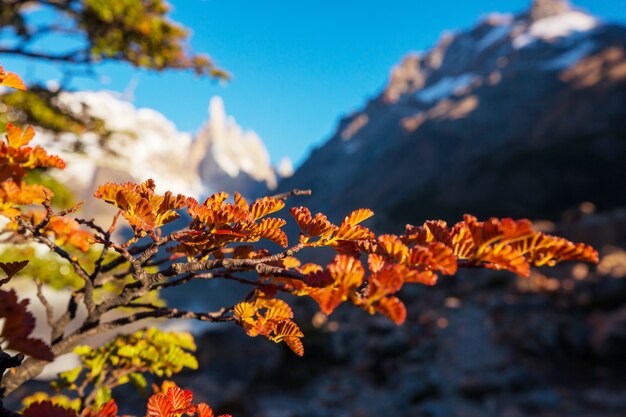 Stagione autunnale nelle montagne della Patagonia, Sud America, Argentina