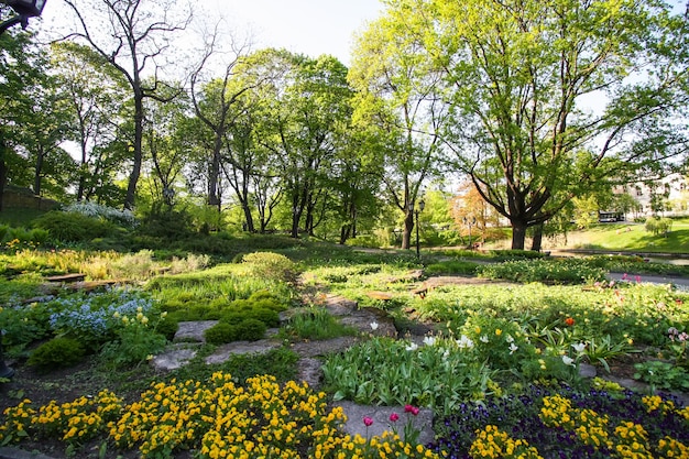 Stagione di fioritura primaverile nel parco pubblico urbano