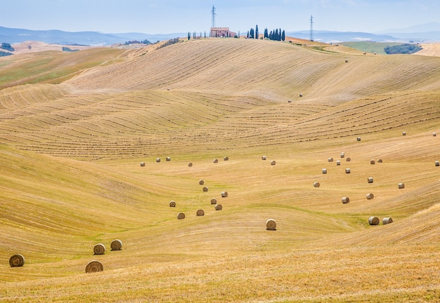 Stagione estiva nella campagna toscana, vicino a Siena