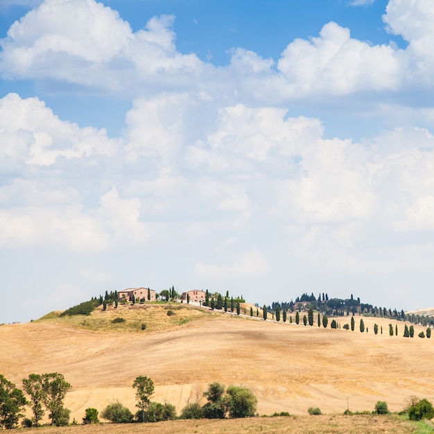 Stagione estiva nella campagna toscana, vicino a Siena