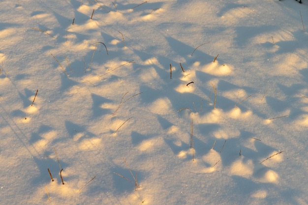 Stagione invernale con cumuli di neve dopo la nevicata neve fresca e pulita in natura nella stagione invernale