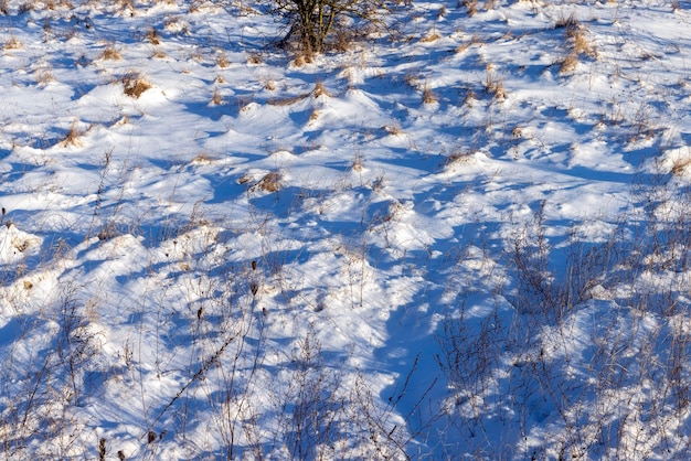 Stagione invernale con cumuli di neve dopo la nevicata neve fresca e pulita in natura nella stagione invernale