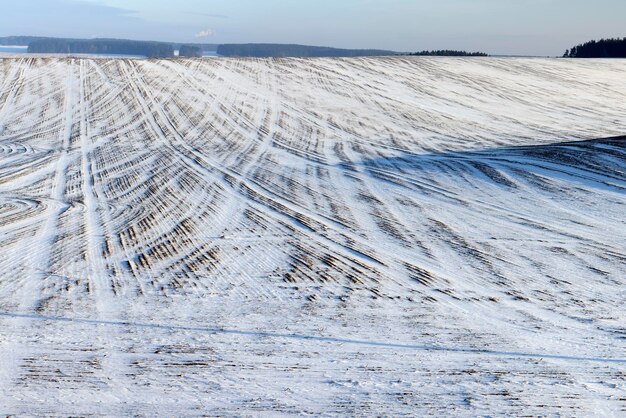 Stagione invernale con cumuli di neve dopo la nevicata neve fresca e pulita in natura nella stagione invernale