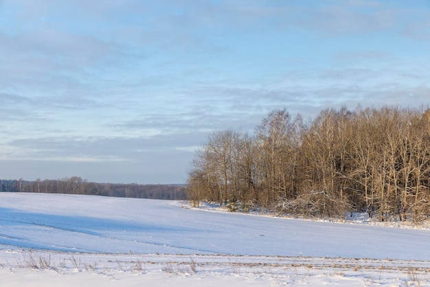 Stagione invernale con cumuli di neve dopo la nevicata neve fresca e pulita in natura nella stagione invernale