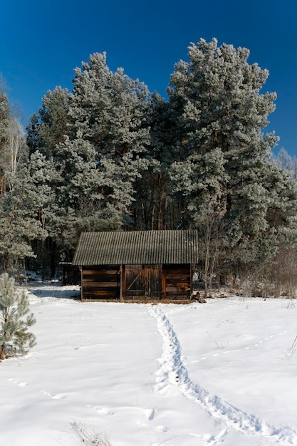 Stagione invernale la neve