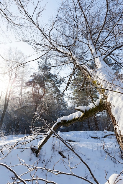 stagione invernale