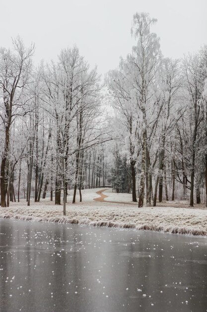 Stagni nell'Alexander Park nella neve