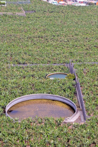 Stagno d'acqua rotondo per l'agricoltura nelle Isole Canarie