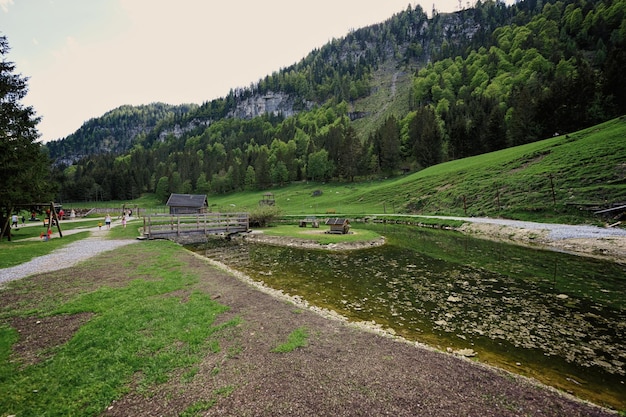 Stagno e ponte di legno a Untertauern wildpark Austria