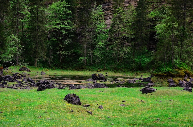 Stagno e rocce