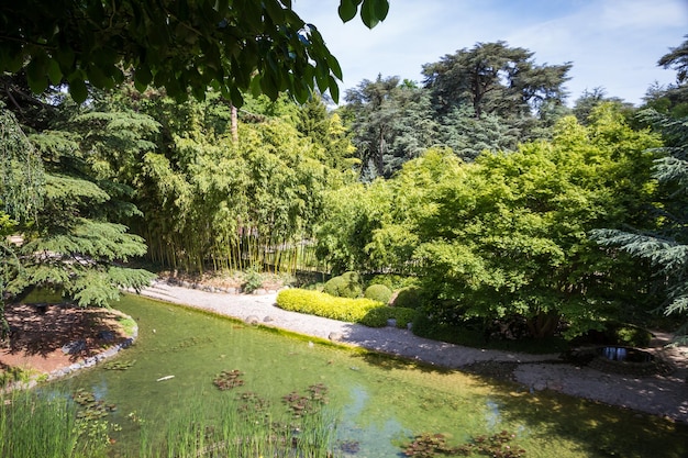 Stagno in un giardino giapponese