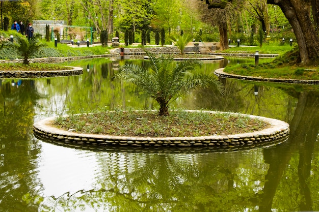 Stagno nel parco, giardino botanico Zugdidi in Georgia. Primavera.