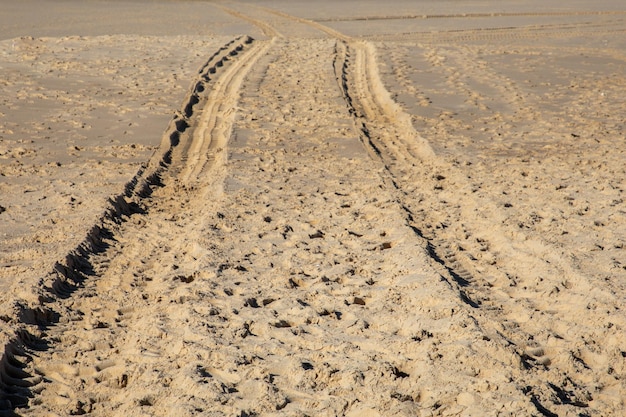 Stampa di pneumatici per auto sulla spiaggia costiera del deserto di sabbia dal buggy