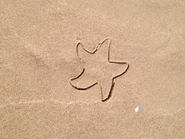 Stampa sulla sabbia bagnata da un giocattolo per bambini a forma di stella marina