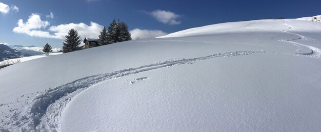Stampe dello sci sulla montagna innevata fresca sotto cielo blu