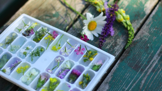 Stampo di ghiaccio con acqua e fiori sfondo estivo