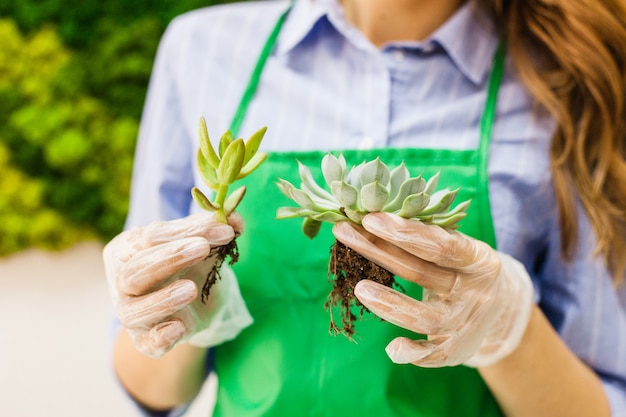 Stampo in vetro per piante in crescita e decorazione d'interni, sabbia, terra, piante grasse, cactus e piante, piante da ragazza