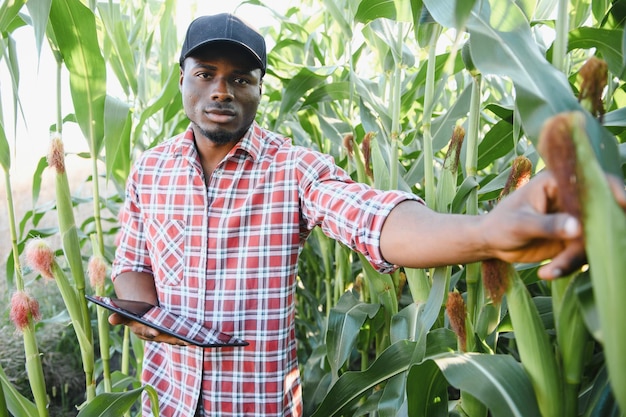 Stand di agricoltore africano nella fattoria verde con tavoletta di contenimento