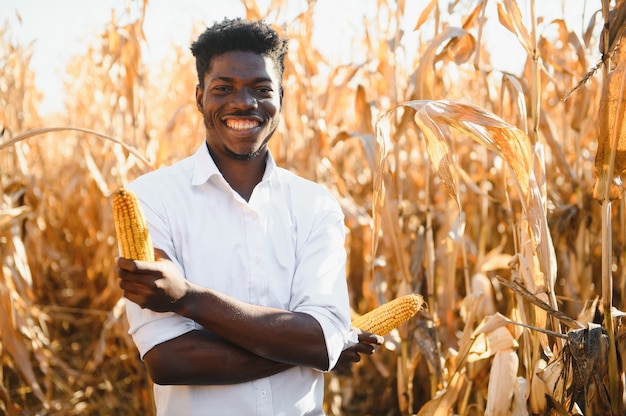 Stand di contadini africani nel campo della piantagione di mais
