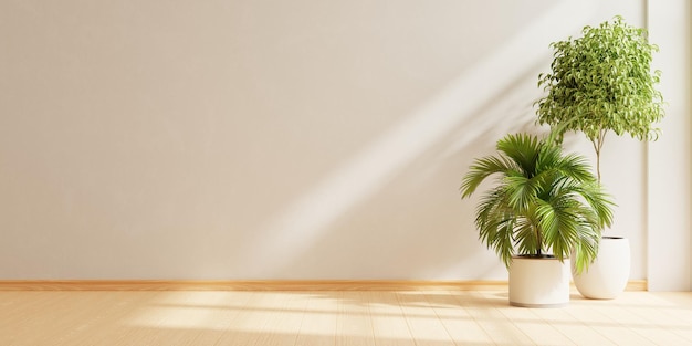Stanza vuota con pavimento di legno e pianta in vaso