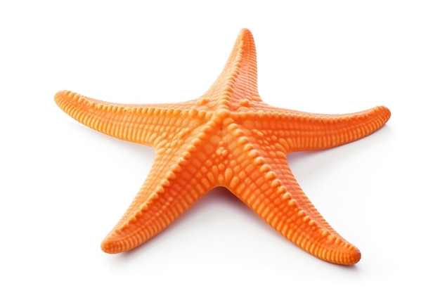 Starfish Ocean animale marino isolato su sfondo bianco IA generativa