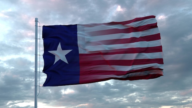 Stati Uniti e Texas bandiera mista che sventola nel vento