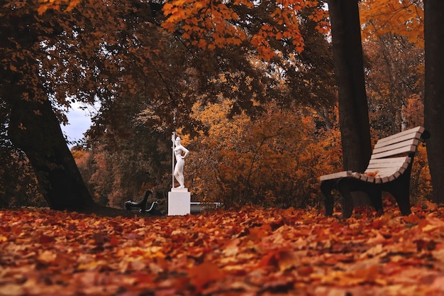 Statua bianca di una ragazza con una pagaia e una panchina in un buio parco autunnale con molte foglie per terra