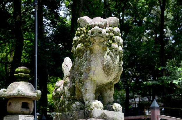 Statua del custode del leone al Santuario Kasuga a Nara in Giappone
