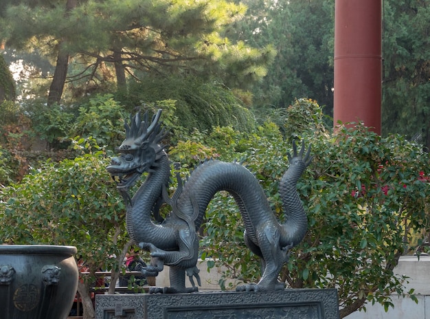 Statua del drago al Palazzo d'Estate fuori Pechino in Cina