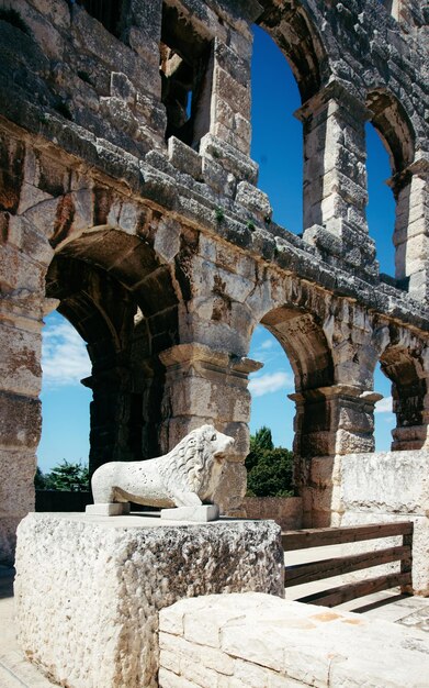 Statua del leone, Anfiteatro di Pola, Croazia. arena romana