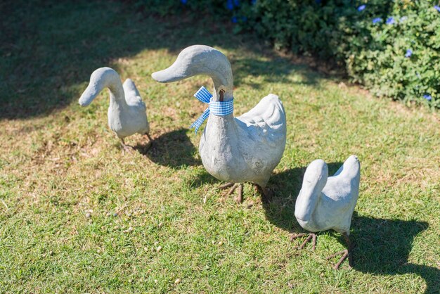 statua di anatra di cemento bianco in giardino