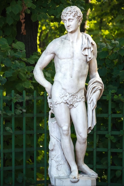 Statua di Antinoo dello scultore italiano Francesco Penso Cabianca del XVIII secolo nel Giardino d'Estate San Pietroburgo Russia