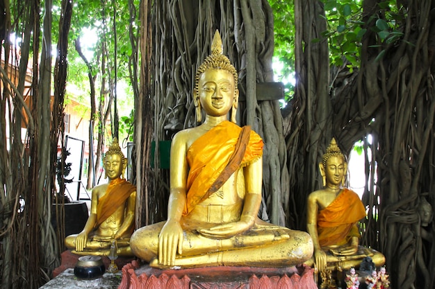 Statua di Buddha bella di Wat Kae Temple a Suphanburi