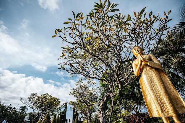 Statua di Buddha con gli occhi chiusi nella giungla